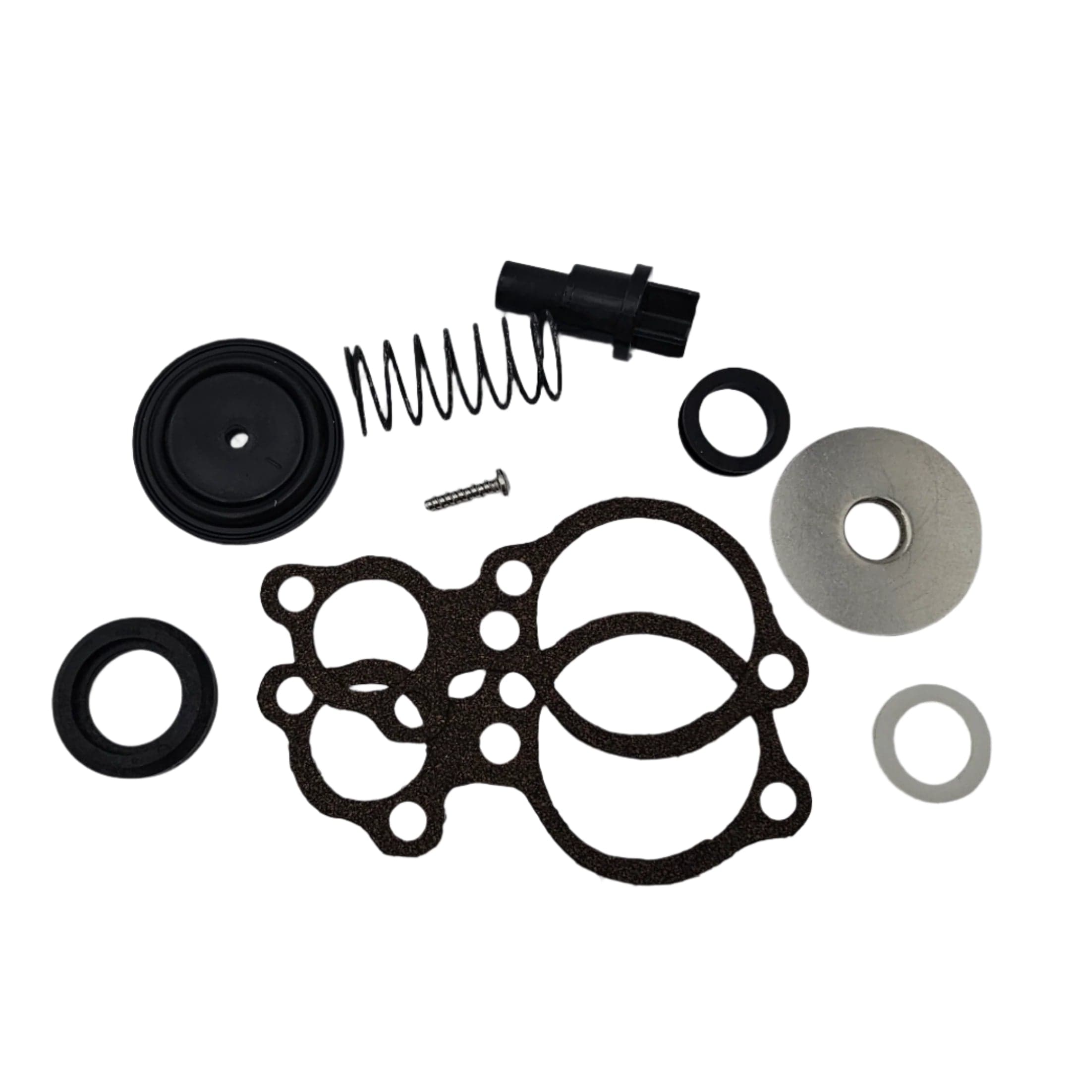 Mercury - Poppet Valve Kit - Fits V-6 Outboard Models - 803062T1 — product photograph